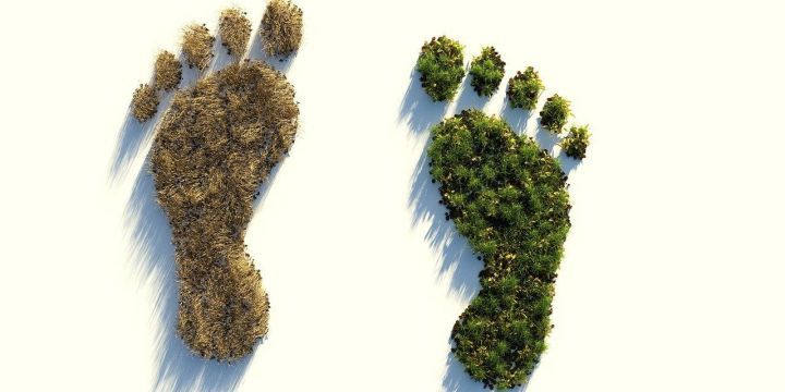 Zwei ökologische Fußabdrücke