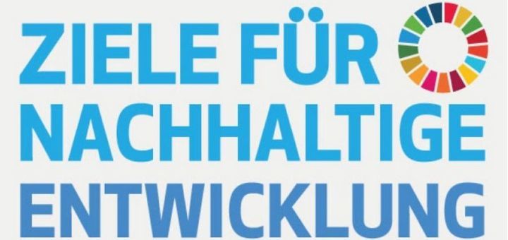 Schriftzug Logo Ziele für nachhaltige Entwicklung