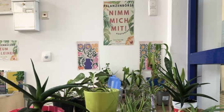 Tisch mit Zimmerpflanzen zur Pflanzenbörse in der Ernst-Abbe-Bücherei Jena  ©JenaKultur | EAB Jena