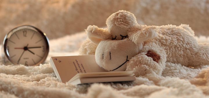 ein Kuscheltier liegt auf dem Bett und liest ein Buch