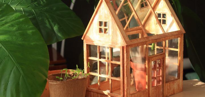 Mini Gewächshaus aus Holz