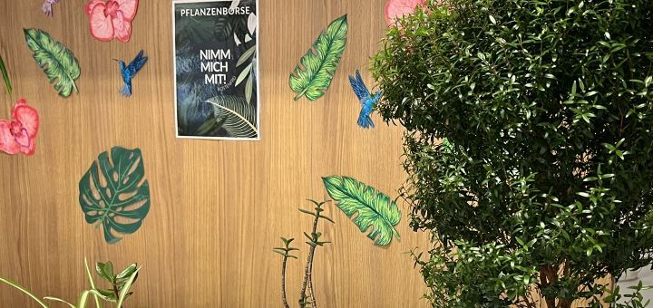 Pflanzen für die tauschbörse