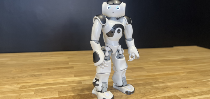 Nao Lernroboter