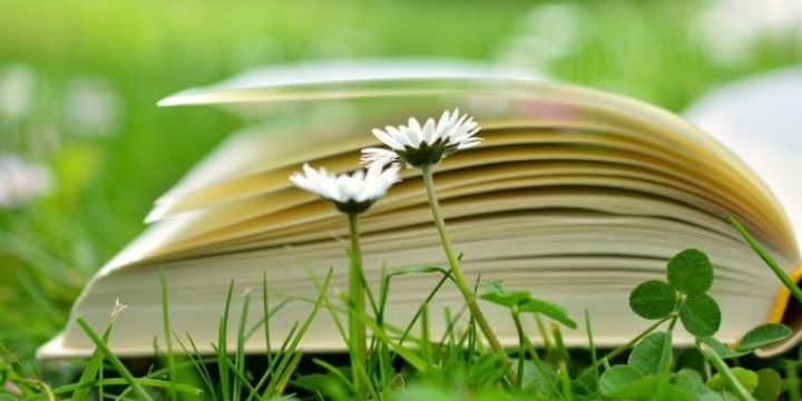Buch auf Wiese Vorlesen in der EAB  ©pixabay